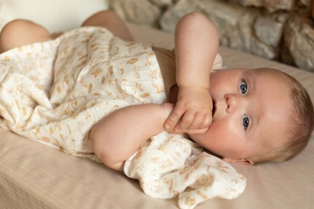 Essential Comforts for Your Newborn at Baby Buzz Lebanon