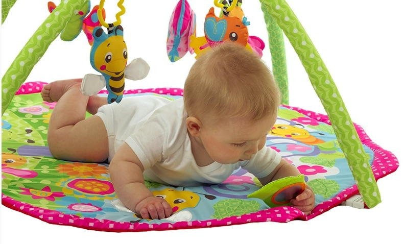Playgro Bugs N Bloom Activity Gym