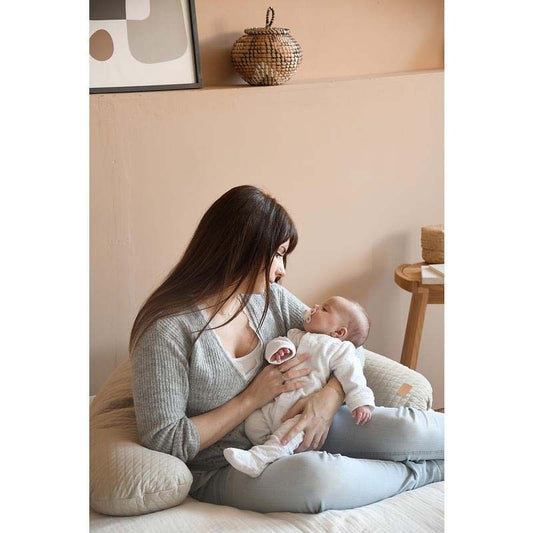 Béaba Big Flopsy Maternity & Nursing Pillow