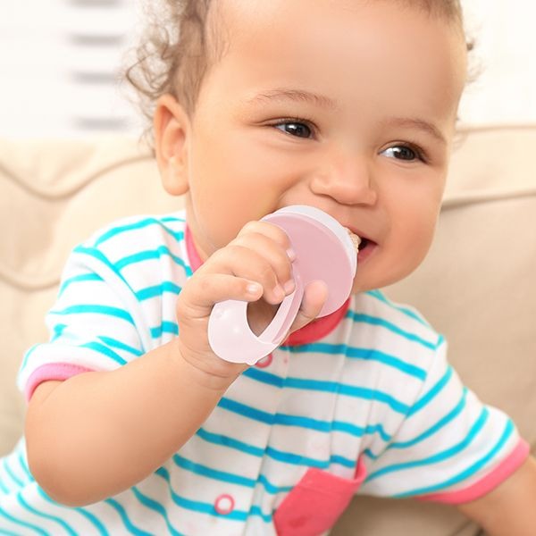 Babyjem Silicone Fruit & Vegetable Feeder