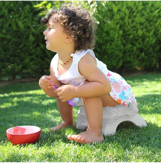Babyjem Portable Potty Seat - Includes 3 Disposable Gift Bags