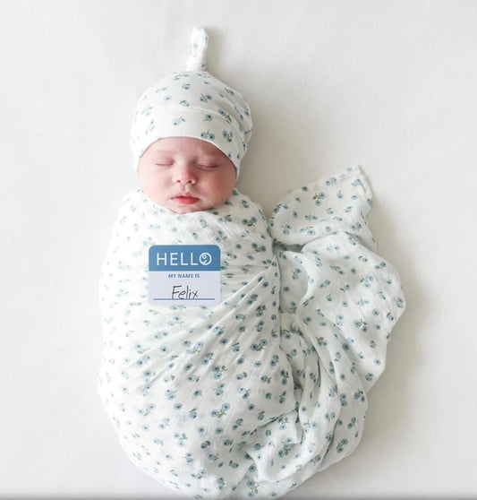 Lulujo Birth Announcement Hat & Swaddle Blanket Set (Blueberries)