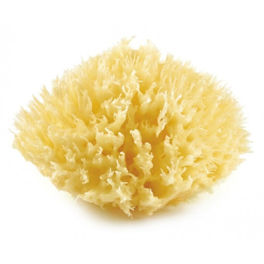 Body Sponge Yellow