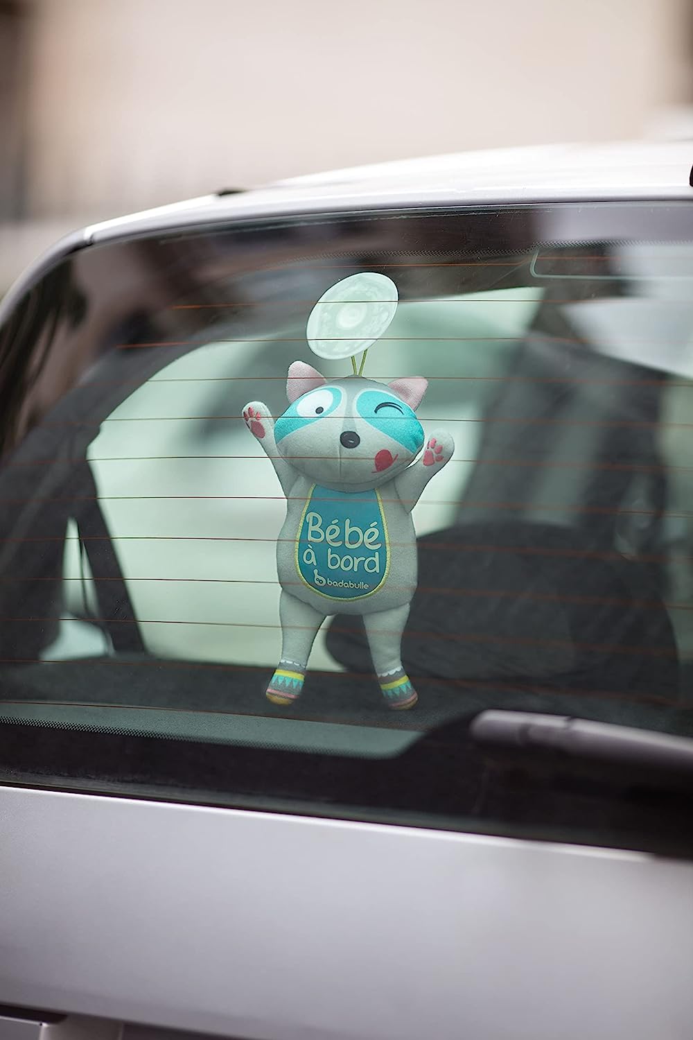 Baby on board sign Raccon