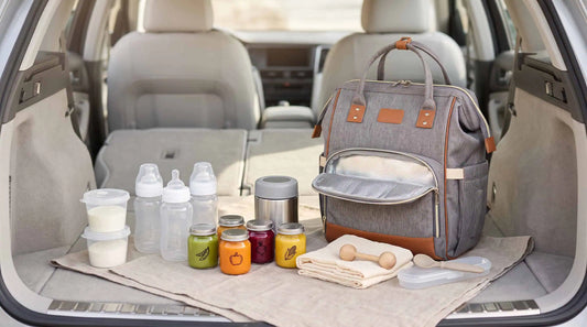 Storing Baby Food and Bottles While Traveling in Lebanon