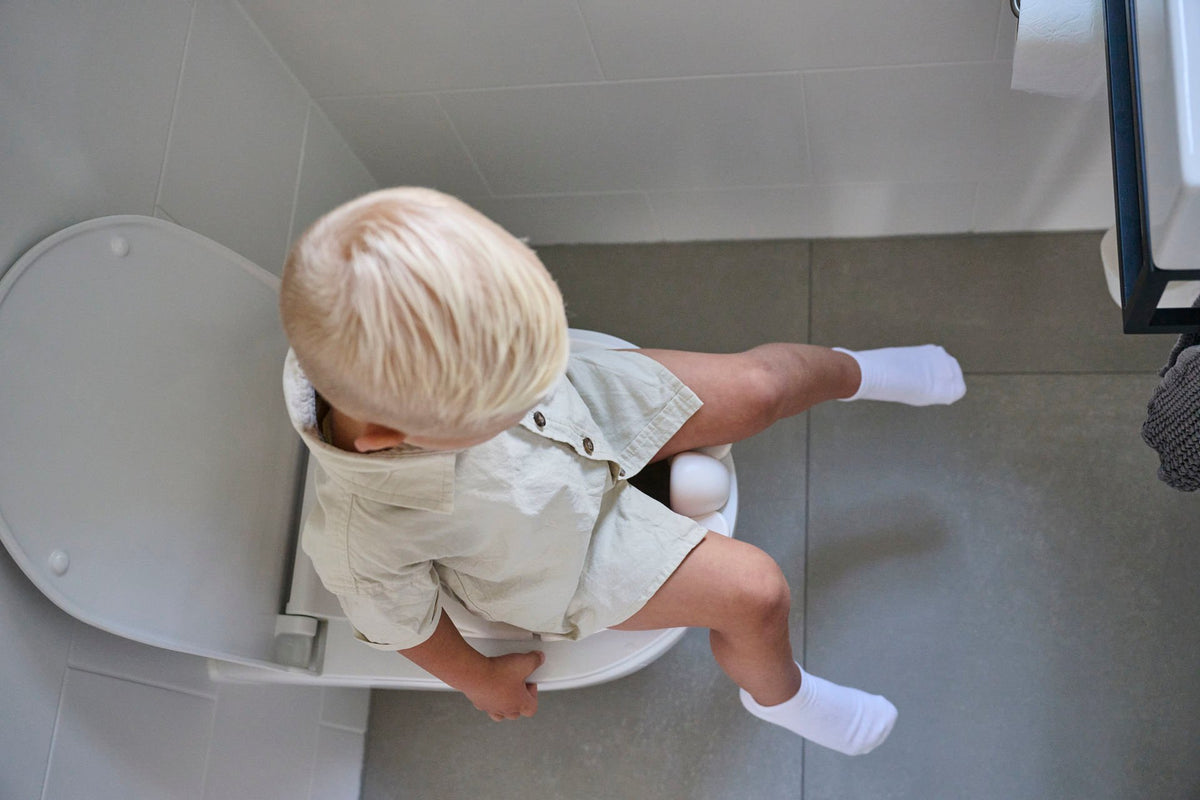 Foldable Toilet Seat Reducer