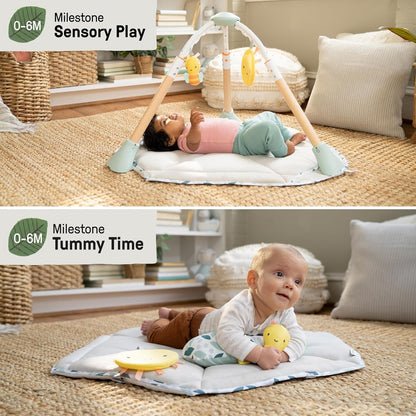 Tummy to Toes 6-in-1 Milestones Center