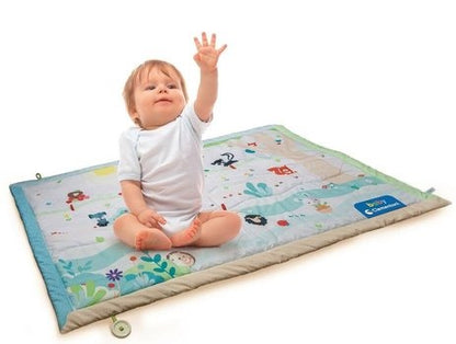 Clementoni Baby Friends Soft Playmat