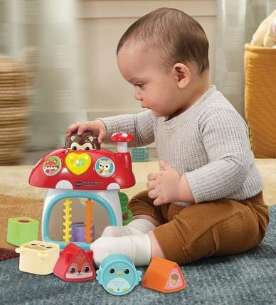 VTech Baby Mushroom House of Surprises
