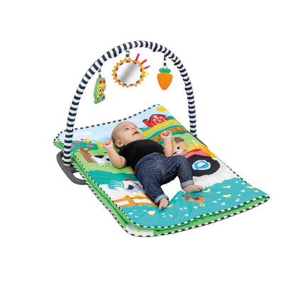 Baby Einstein Farm Explorers Busy Barnyard Grow With Me Activity Gym&nbsp;