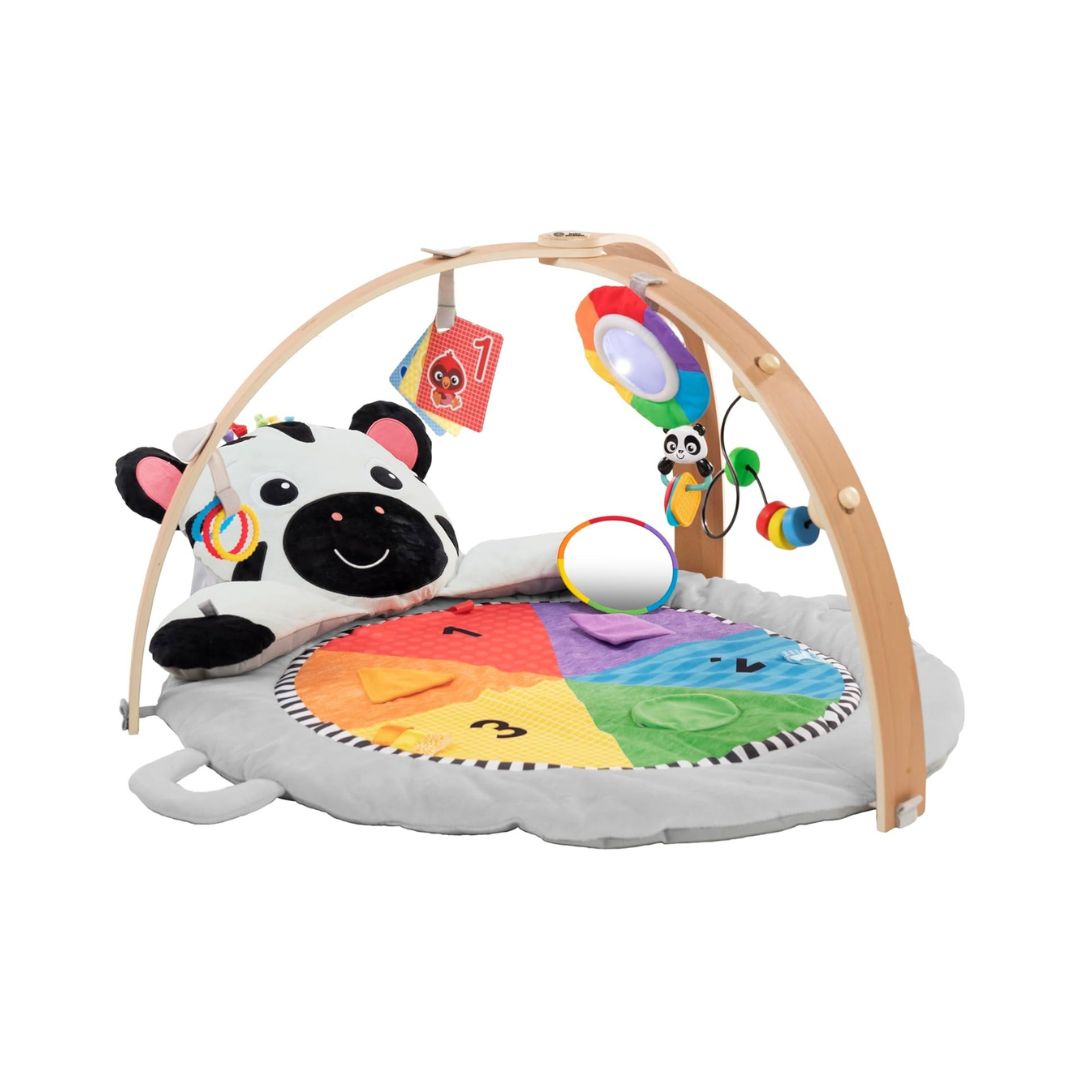 Baby Einstein Zen's Activity Milestones Plush Gym