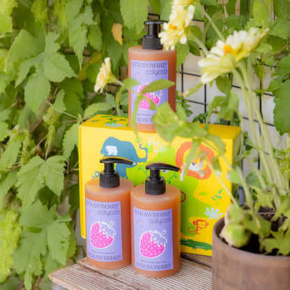 Colycco Strawberry Sweet Box