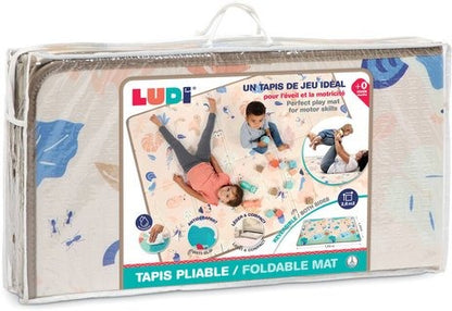 Reversible Foldable Mat