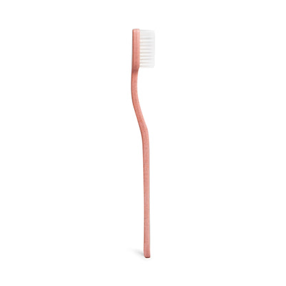 Ecological Toothbrush