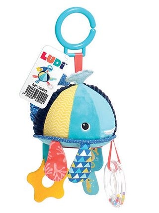 Whale Hanging Activity