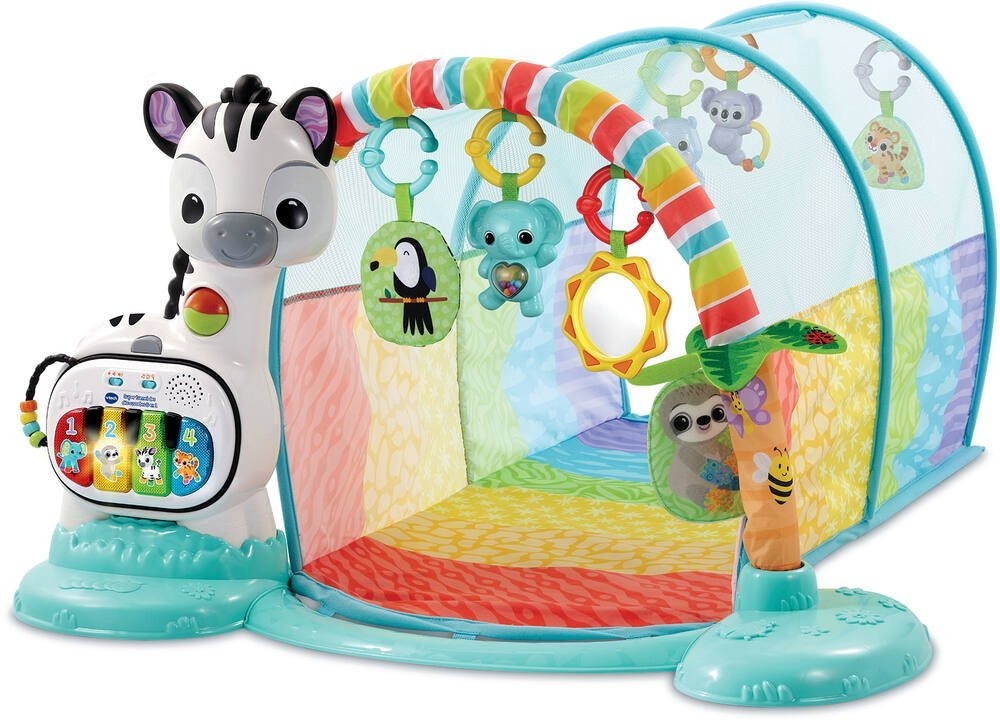 Baby Play Gym - Zebra Activity Center