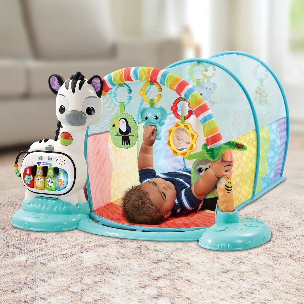 Baby Play Gym - Zebra Activity Center