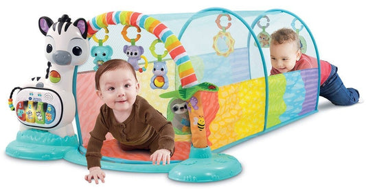 Baby Play Gym - Zebra Activity Center