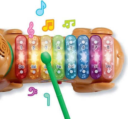 Vtech Zoo Jamz Doggy Xylophone