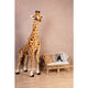Standing Giraffe