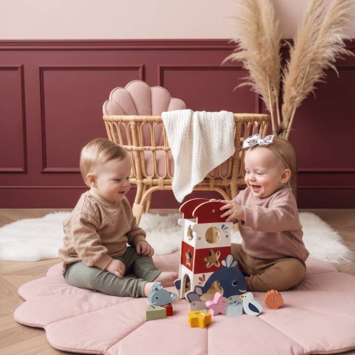 Speedy Monkey Ocean Shape Sorter