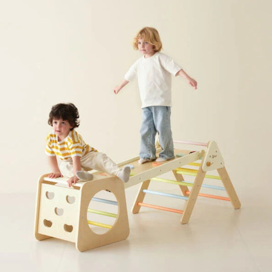 Classic World Small Climbing Frame (5-in-1 Montessori Set)