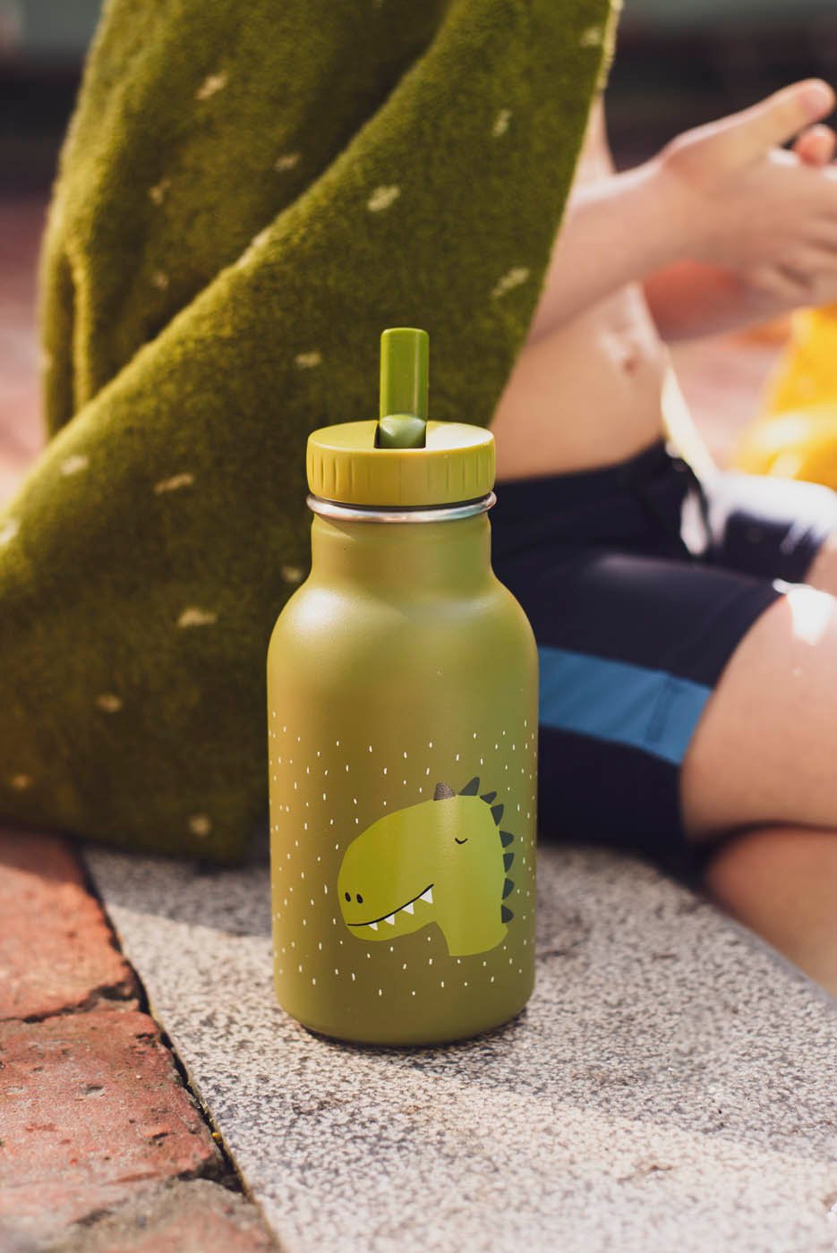 Trixie: Stainless Steel Water Bottle 350ml - Mr. Dino