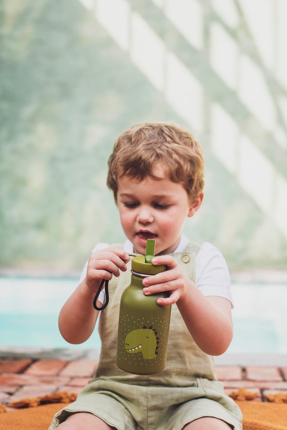 Trixie: Stainless Steel Water Bottle 350ml - Mr. Dino
