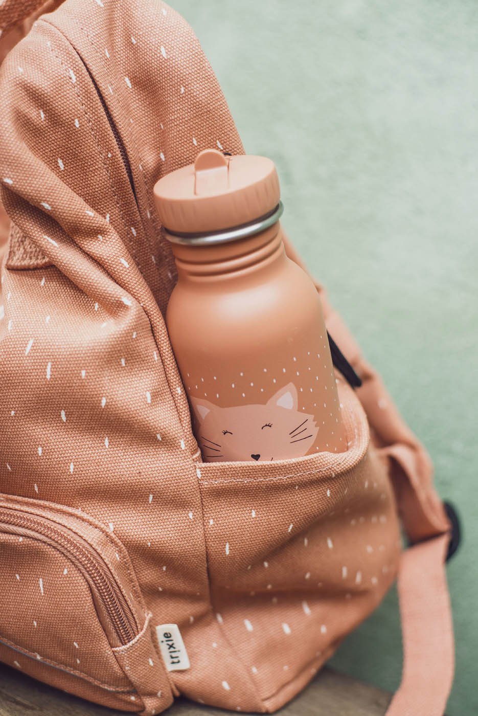 Trixie: Stainless Steel Water Bottle 350ml - Mrs. Cat