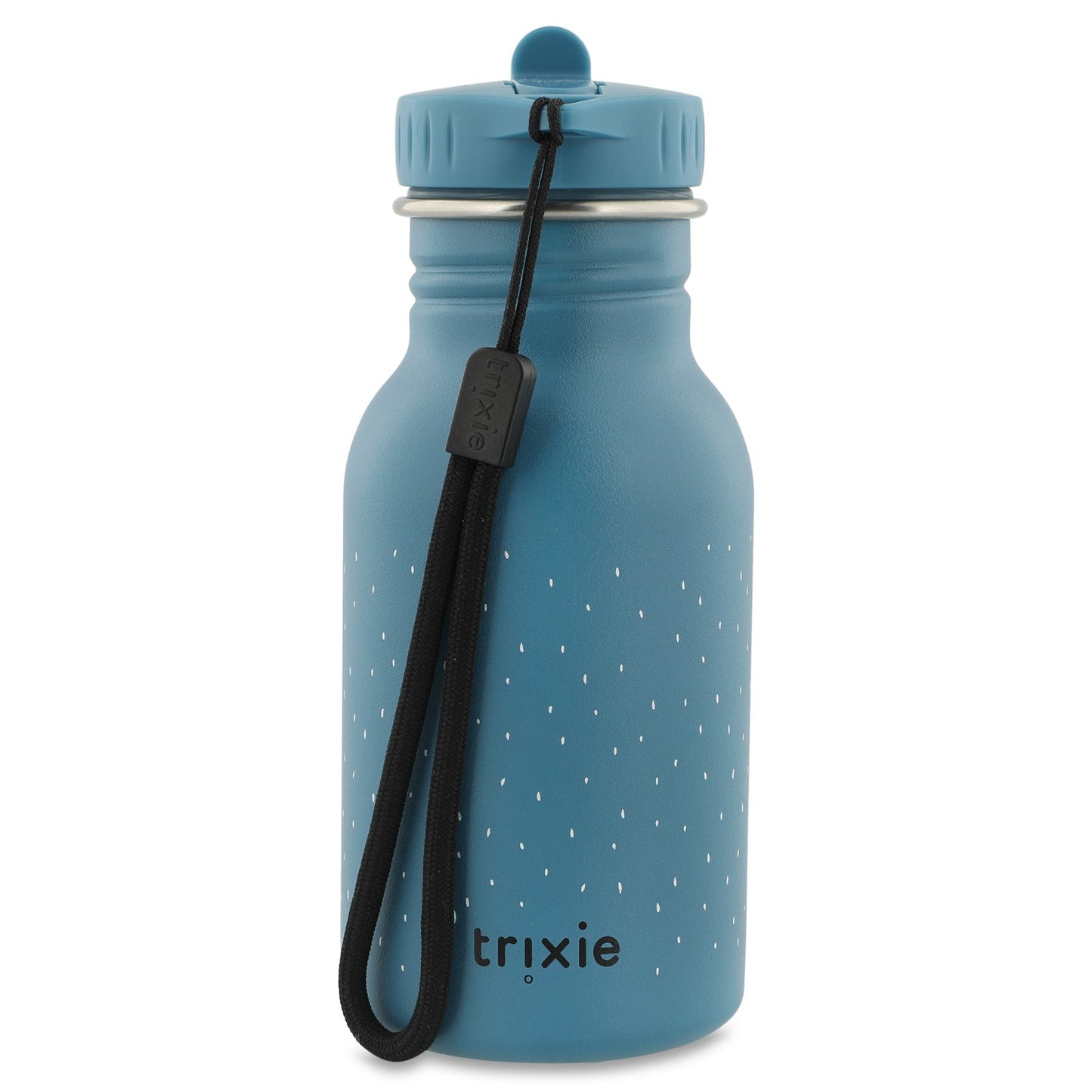 Trixie: Stainless Steel Water Bottle 350ml - Mr. Triceratops