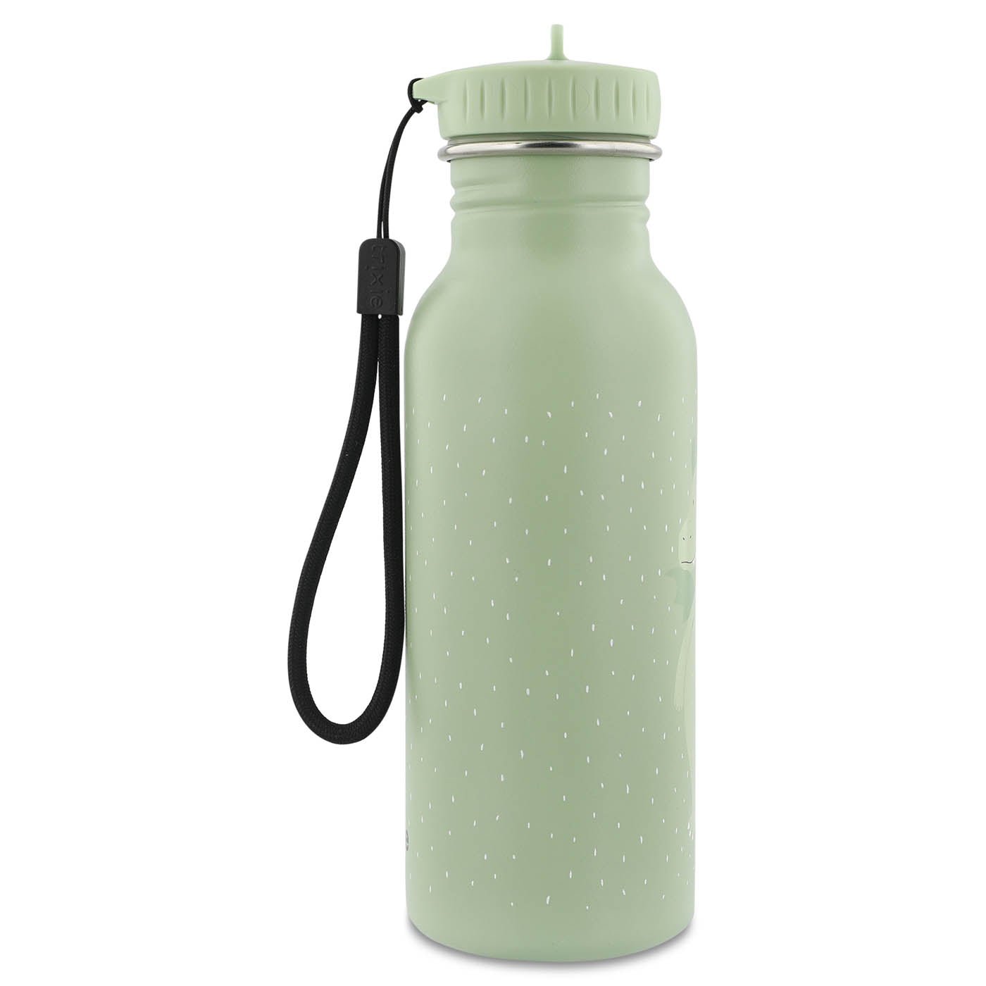 Trixie: Stainless Steel Water Bottle 500ml - Mr. Dragon