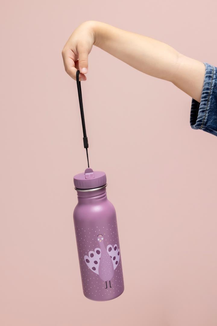 Trixie: Stainless Steel Water Bottle 500ml - Mrs. Peacock