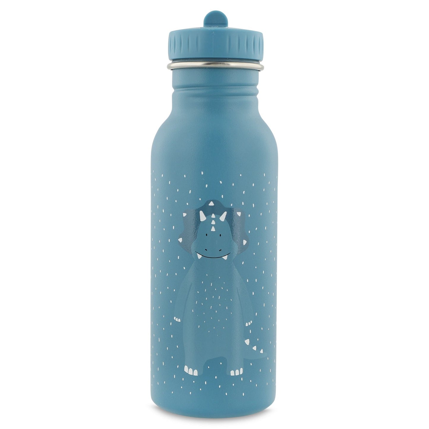 Trixie: Stainless Steel Water Bottle 500ml - Mr. Triceratops