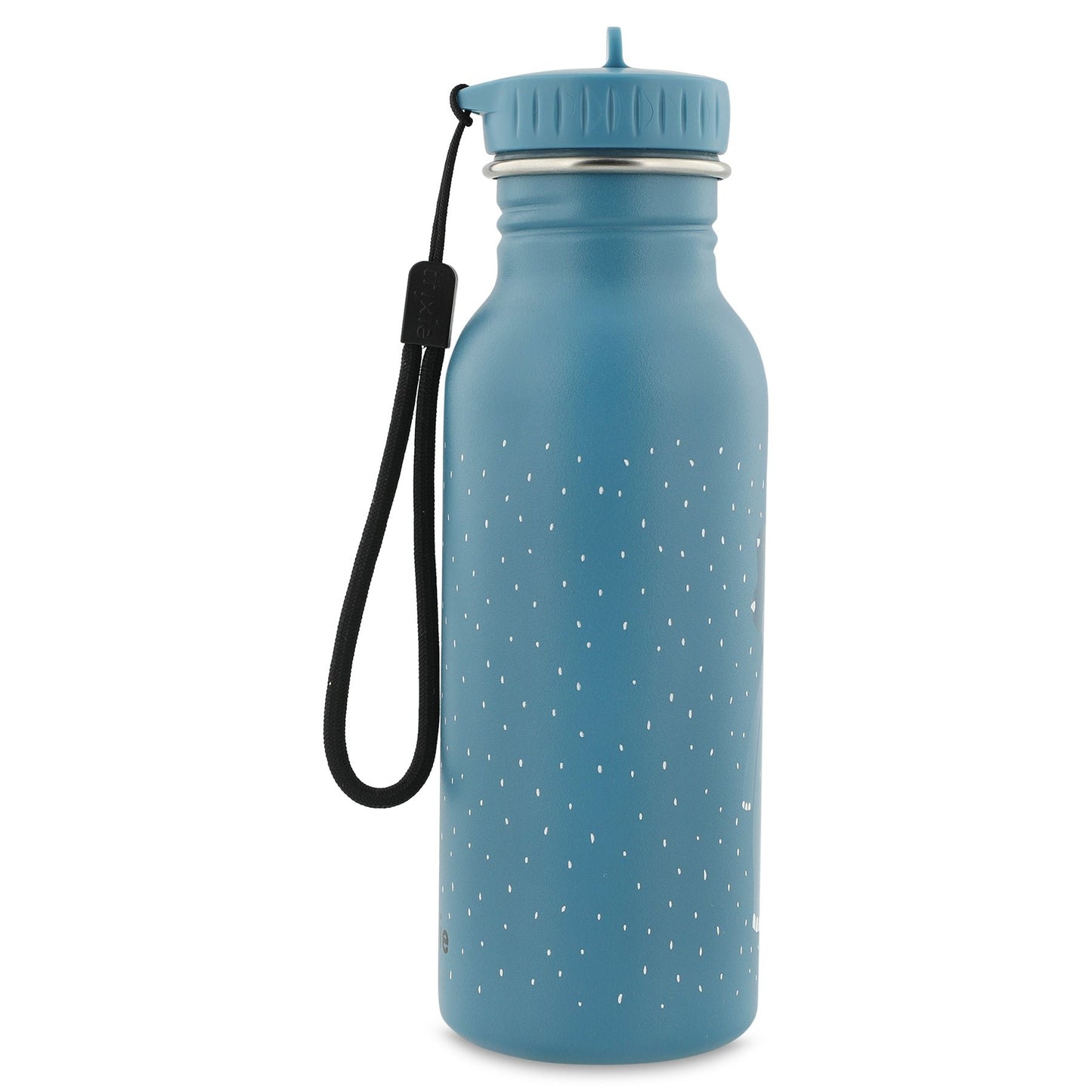 Trixie: Stainless Steel Water Bottle 500ml - Mr. Triceratops