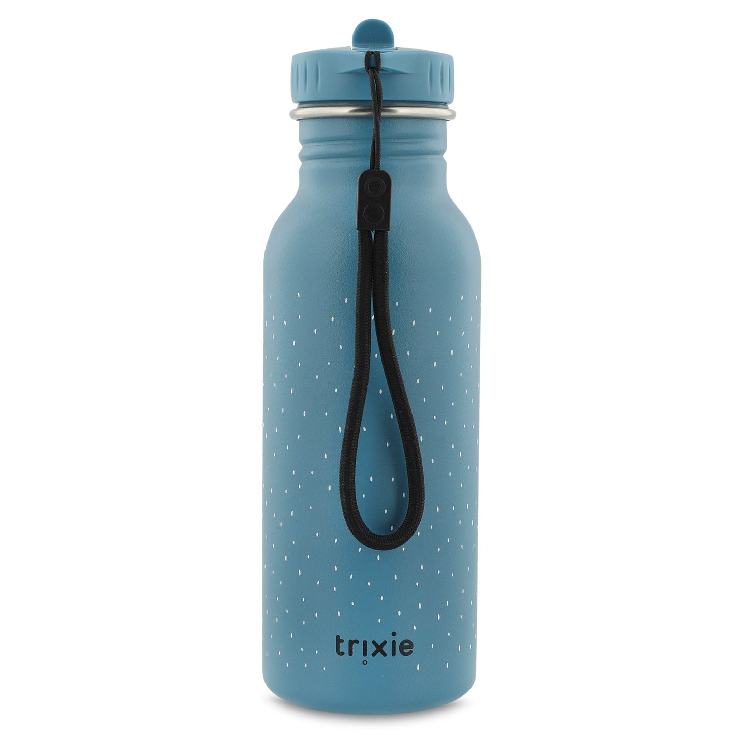 Trixie: Stainless Steel Water Bottle 500ml - Mr. Triceratops