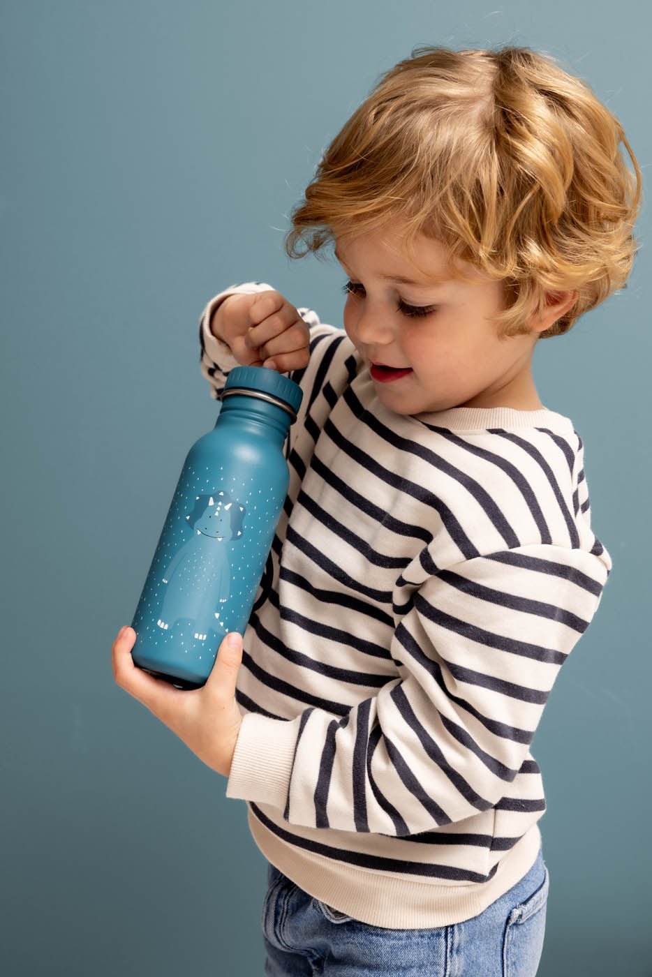 Trixie: Stainless Steel Water Bottle 500ml - Mr. Triceratops