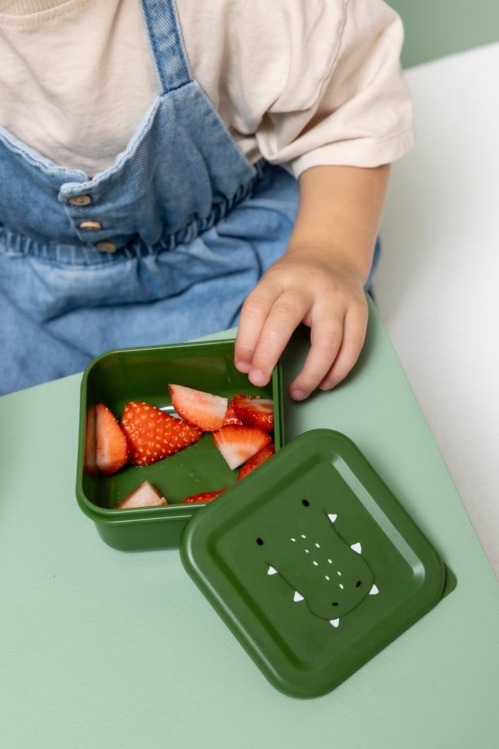 Trixie: Mr. Alligator Nesting Snack Boxes - Set of 3