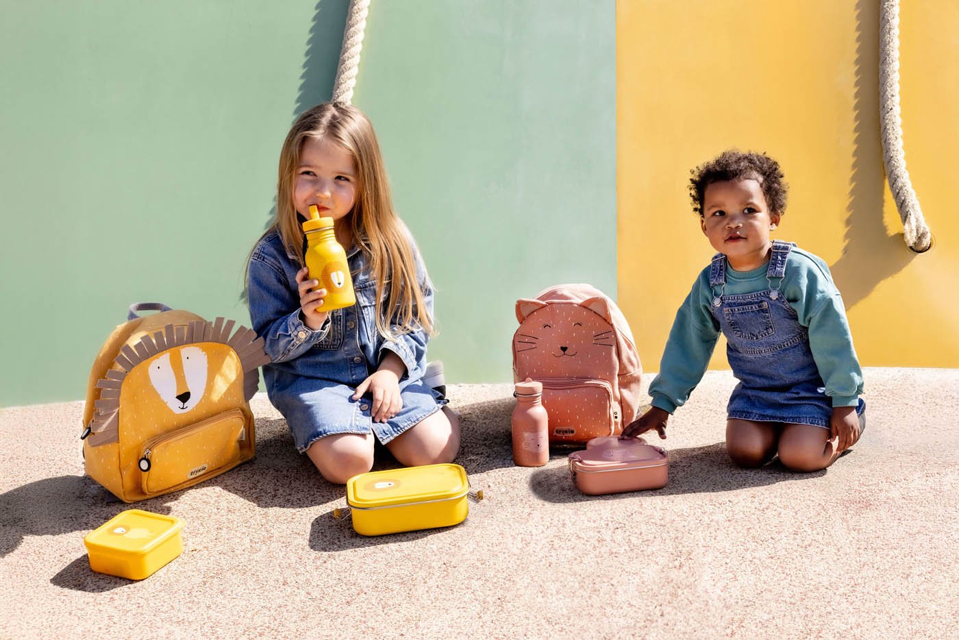 Trixie: Mr. Lion Nesting Snack Boxes - Set of 3
