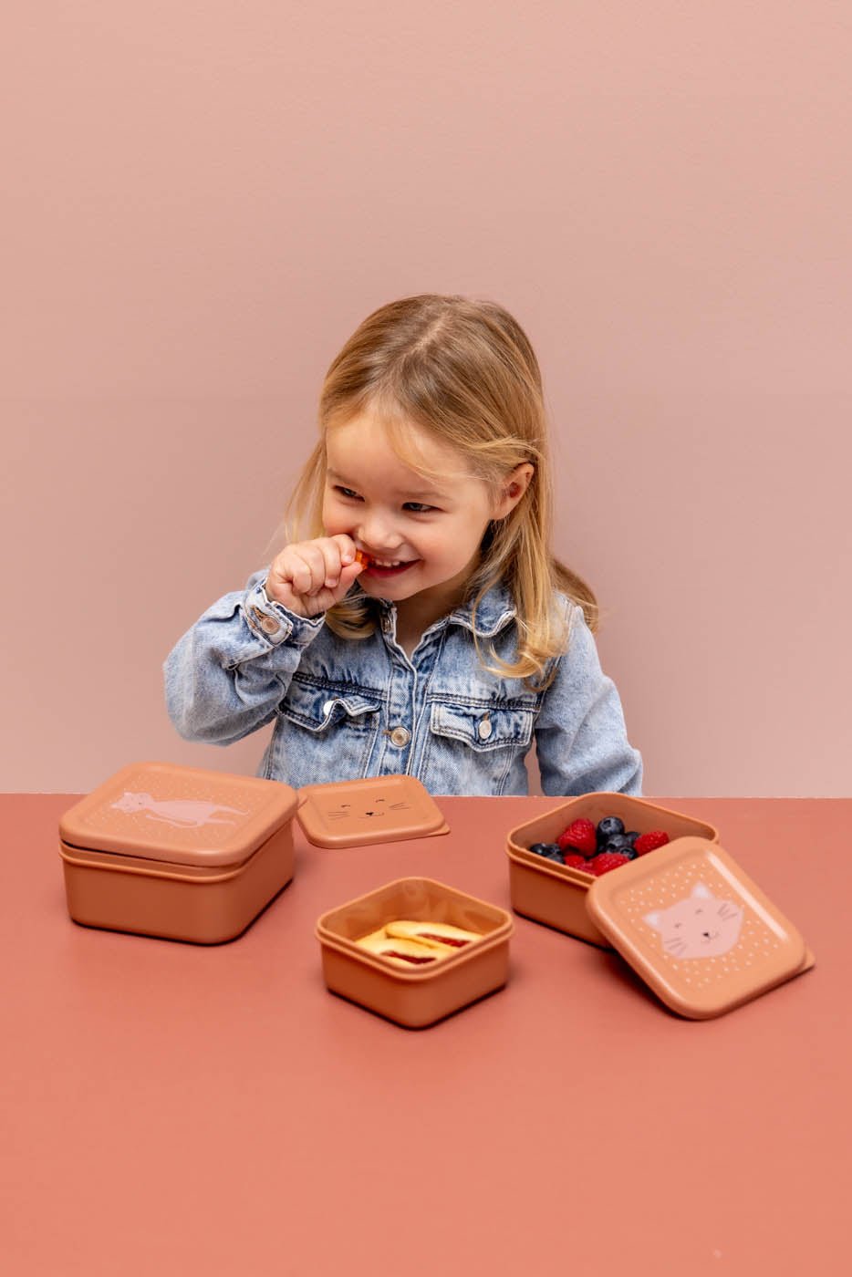 Trixie: Mrs. Cat Nesting Snack Boxes - Set of 3