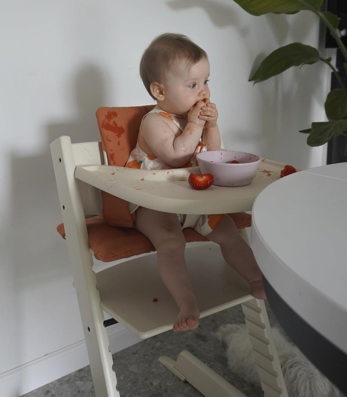 Stokke: Tray Compatible with Tripp Trapp - Wipeable High Chair Accessory (Vanilla White)