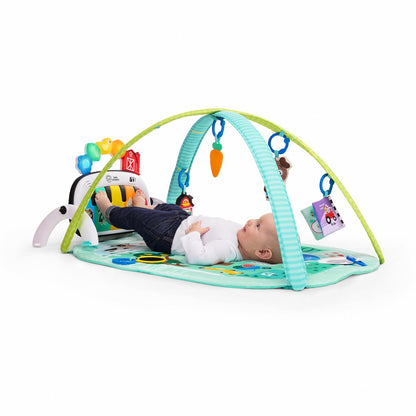 Baby Einstein Musical Activity Gym