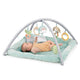 Ingenuity Calm Springs Plush Activity Gym
