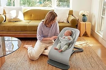 Ergobaby Evolve Bouncer