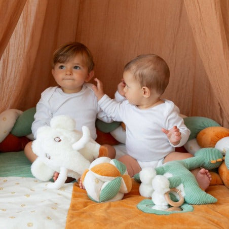 Sensory Discovery Ball