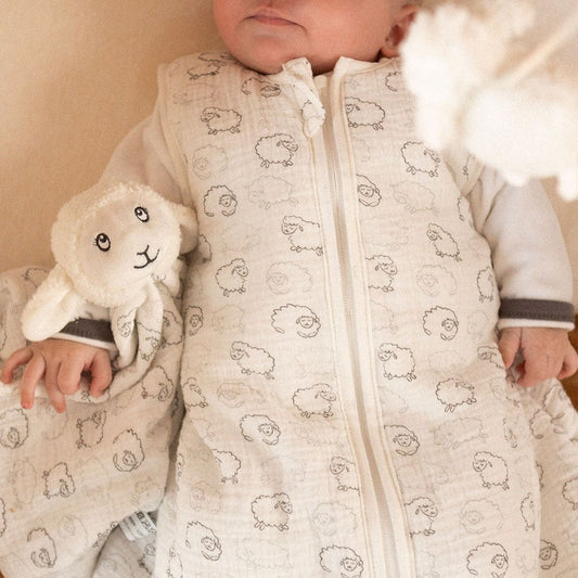 Organic Cotton Comfort Doudou