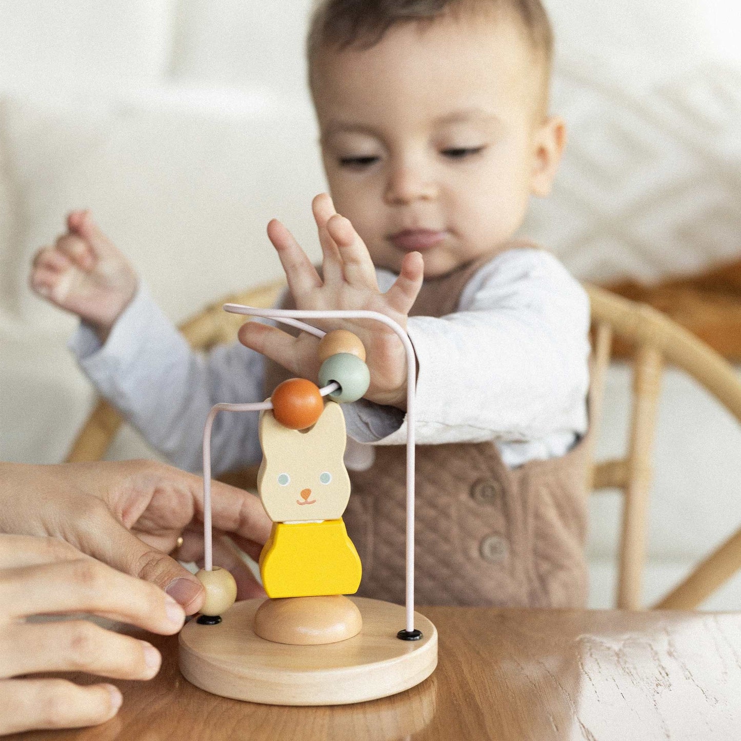 Wooden Skill Development Toy