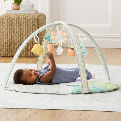 Garden Oasis Activity Gym