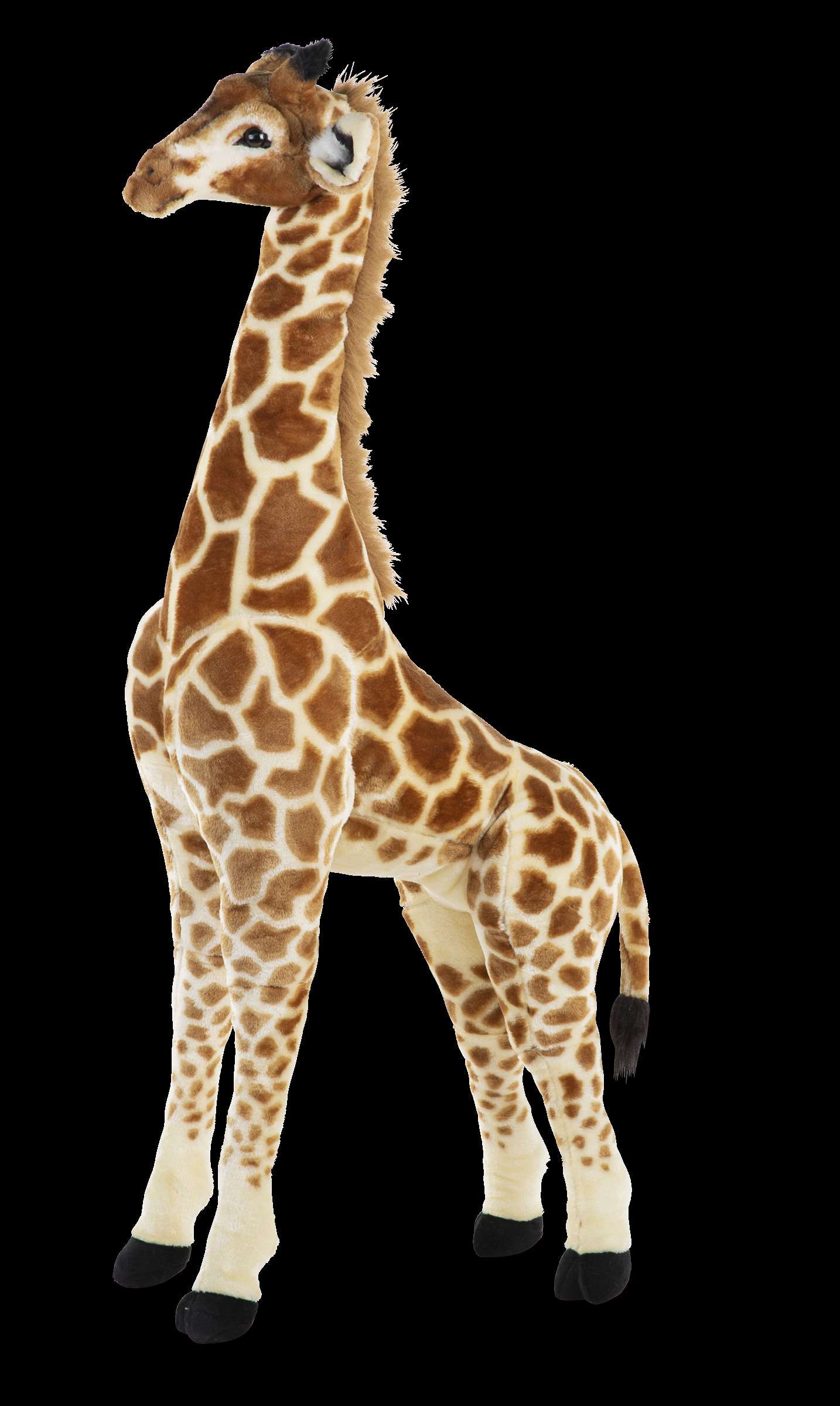 Standing Giraffe 135cm