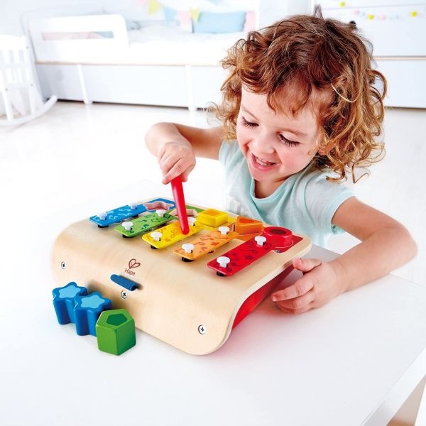 Hape Musical Discovery Board: A Symphony of Learning and Fun