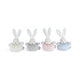 Rabbit Ponpons